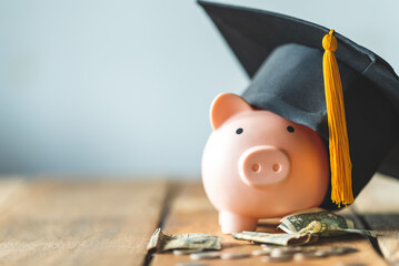 CULTIVATING A SAVINGS CULTURE IN CHILDREN: BUILDING LIFELONG HABITS